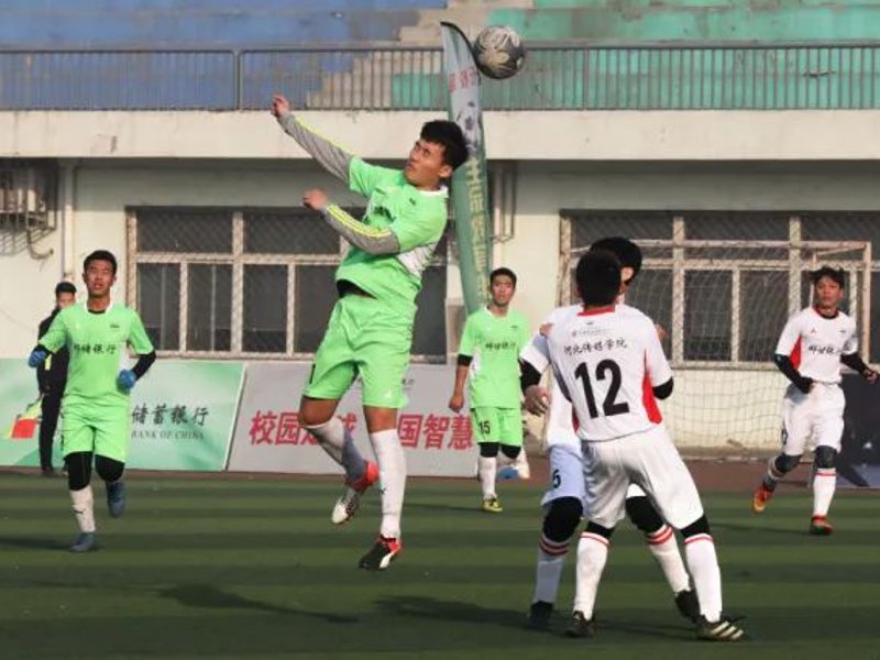 了解龙8唯一头号玩家